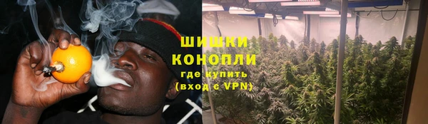 дурь Богданович