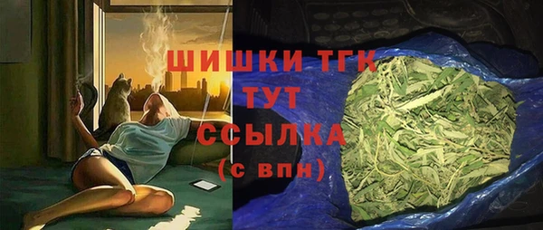 СК Богородицк