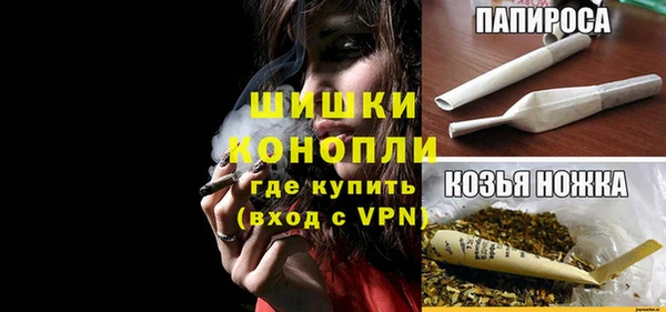 СК Богородицк