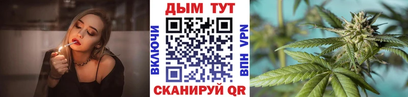 Бошки Шишки конопля  Городовиковск 